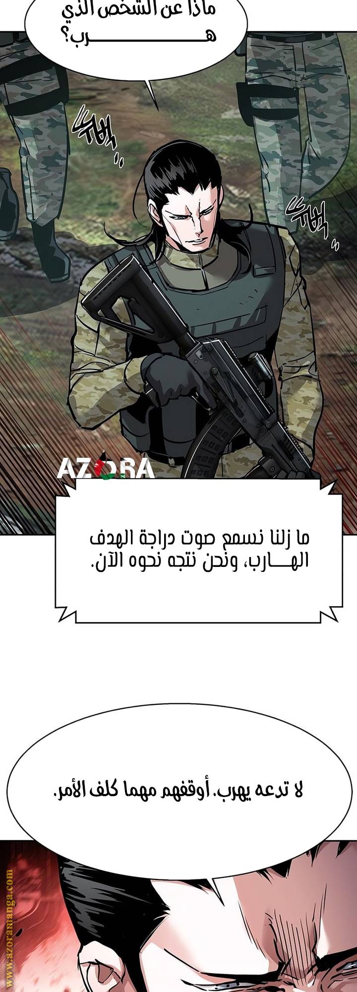 الصفحة 13