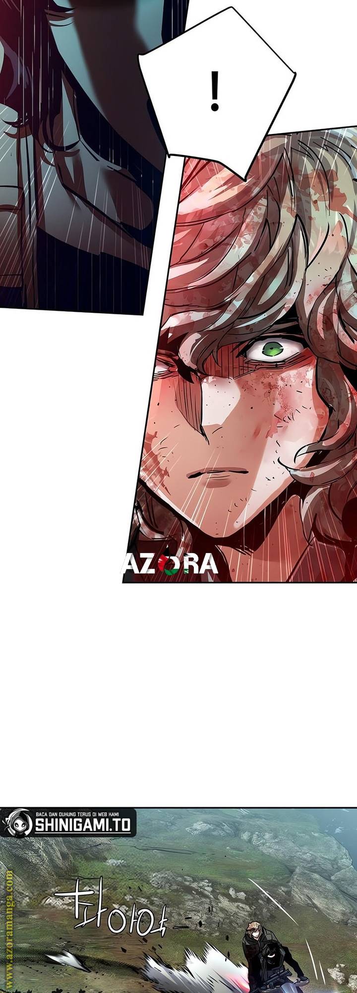 الصفحة 17