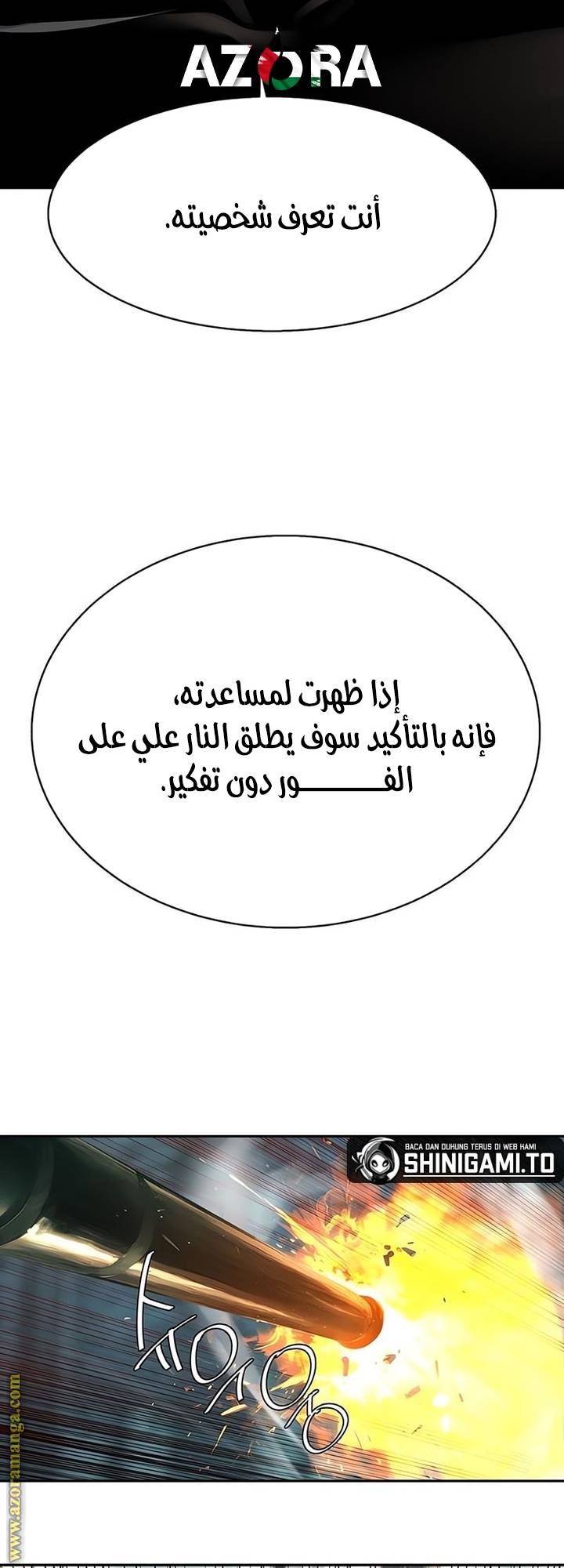 الصفحة 29