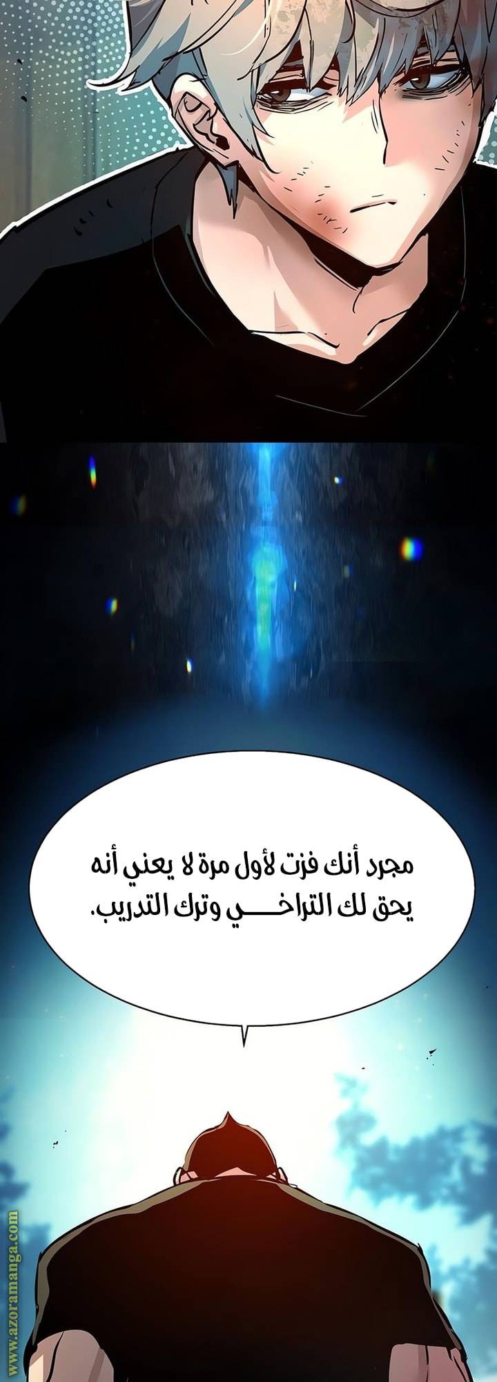 الصفحة 17