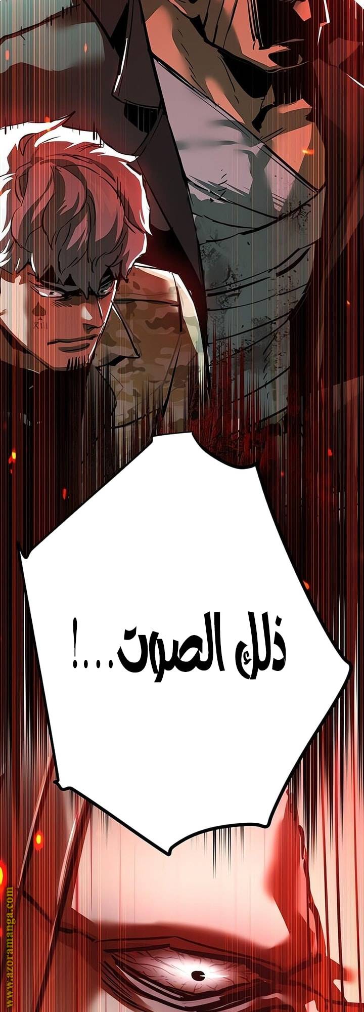 الصفحة 66