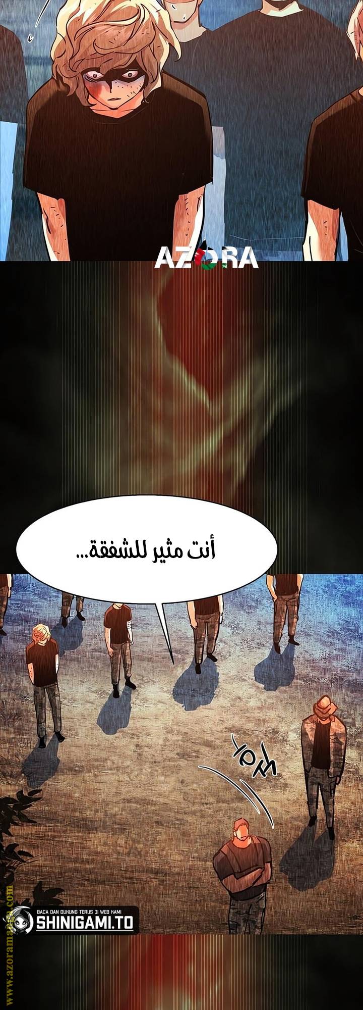 الصفحة 17