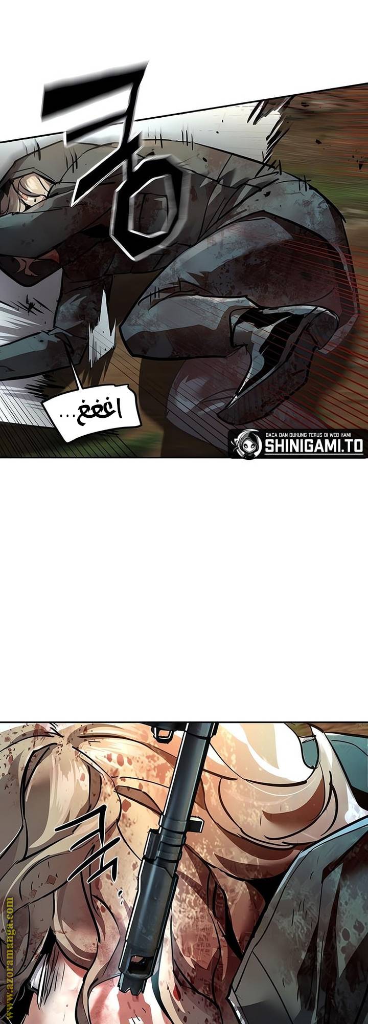 الصفحة 43