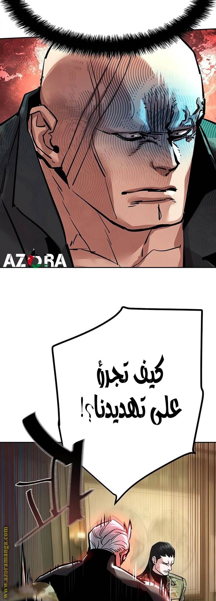 الصفحة 12