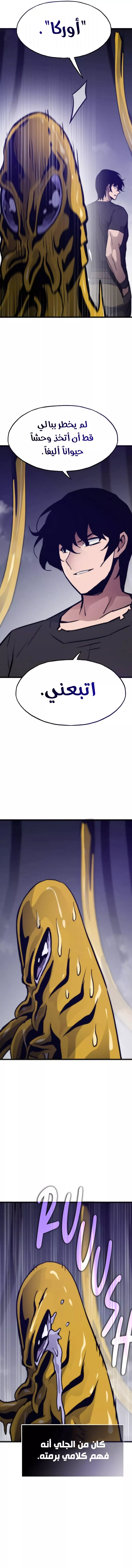 الصفحة 19