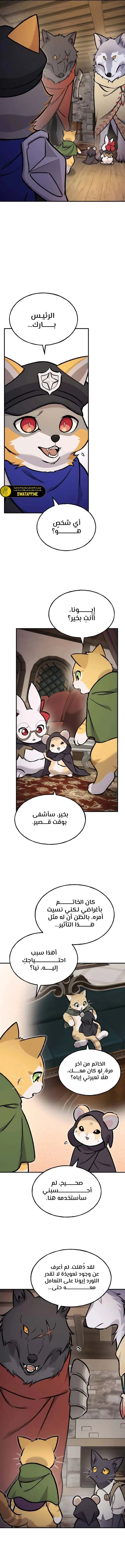 الصفحة 14
