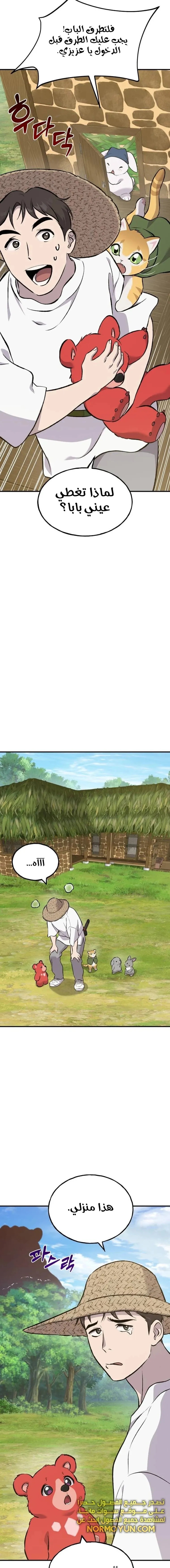 الصفحة 13