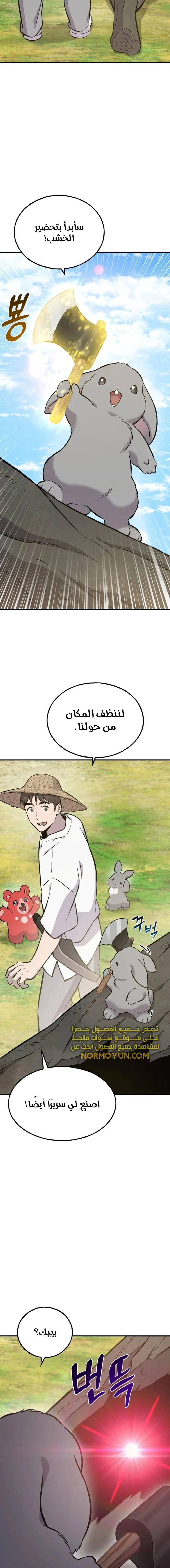الصفحة 17