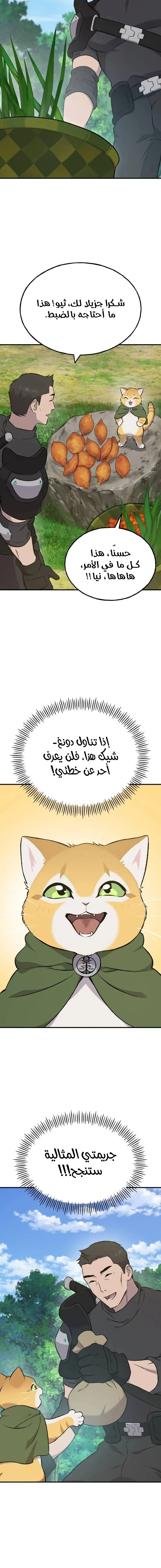 الصفحة 12