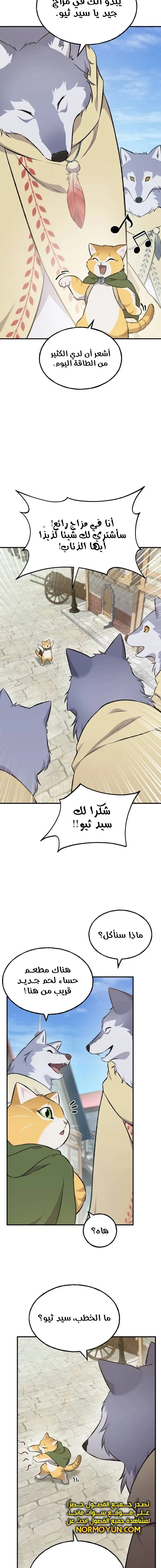 الصفحة 17