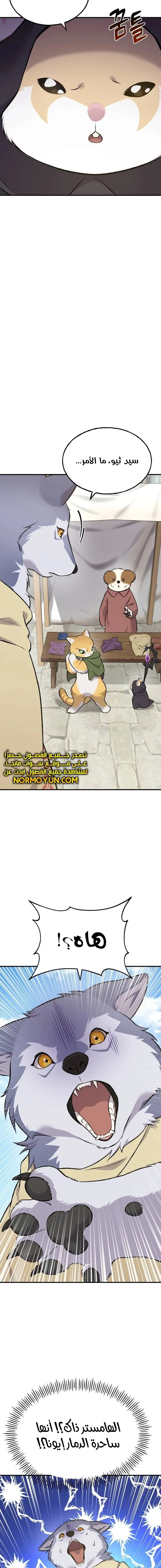 الصفحة 20