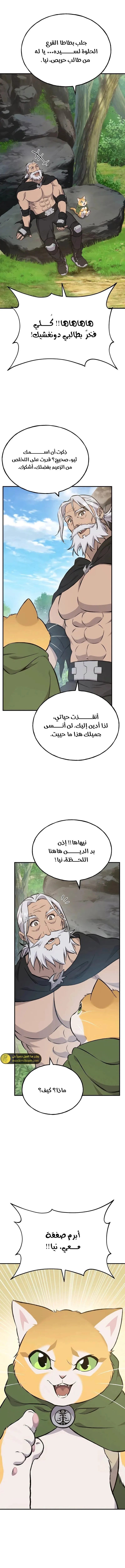 الصفحة 14