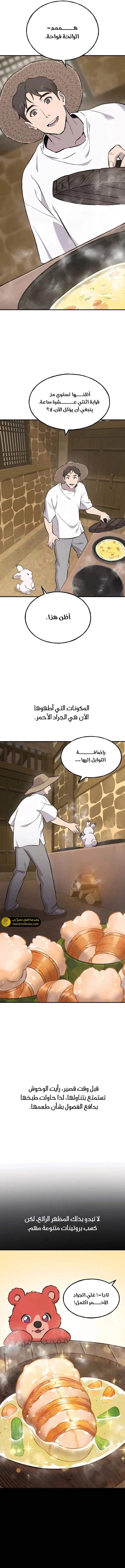 الصفحة 17