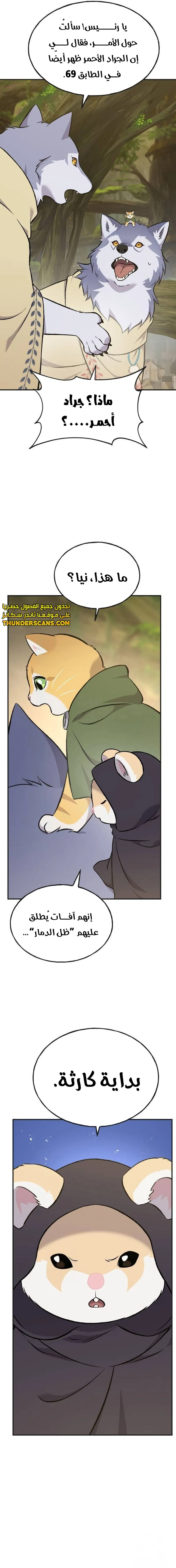 الصفحة 11