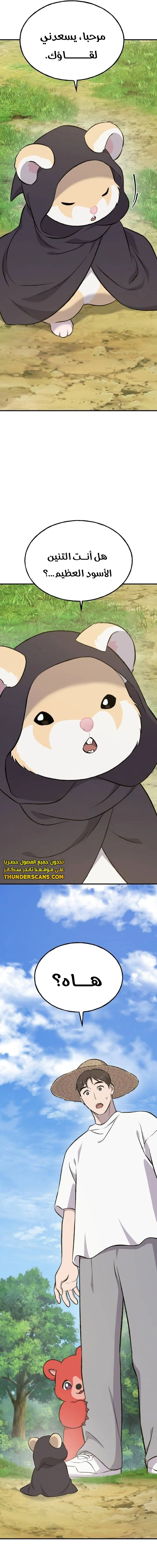 الصفحة 29