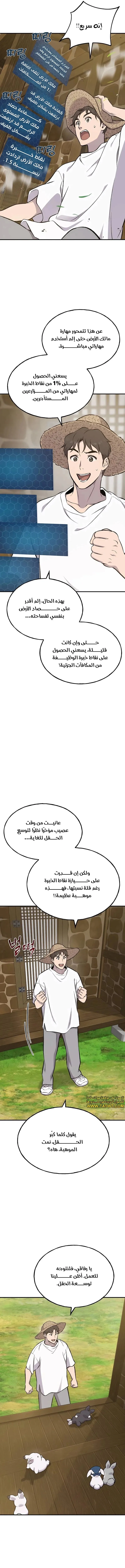 الصفحة 17