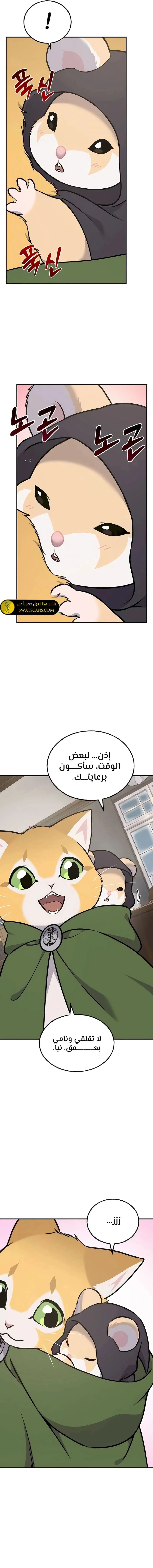 الصفحة 14