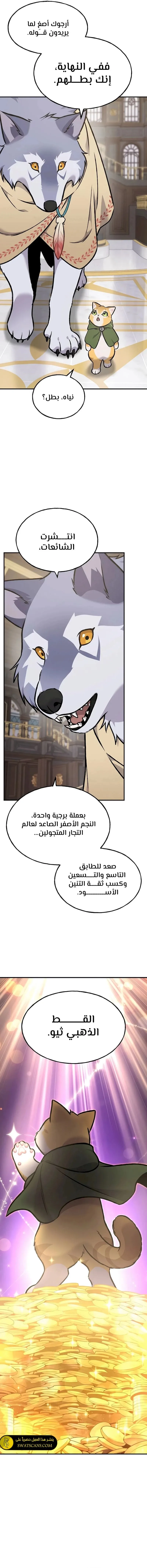 الصفحة 19