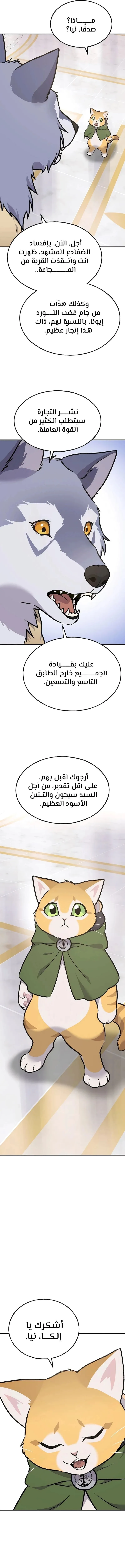الصفحة 20