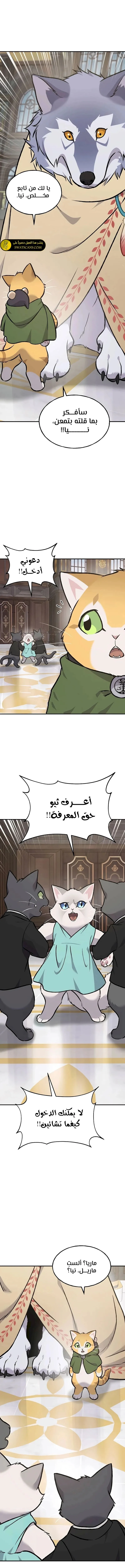 الصفحة 21