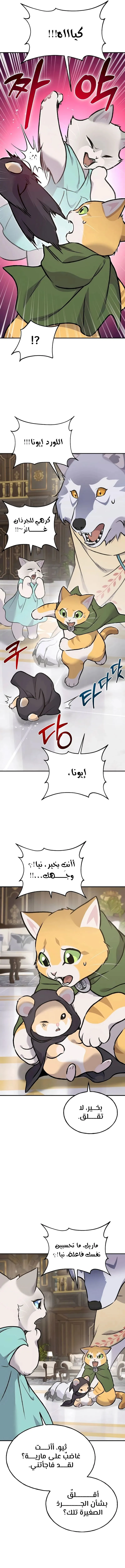 الصفحة 24