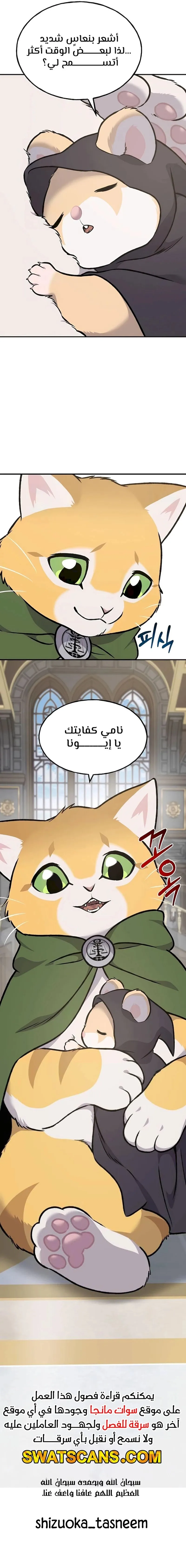 الصفحة 29