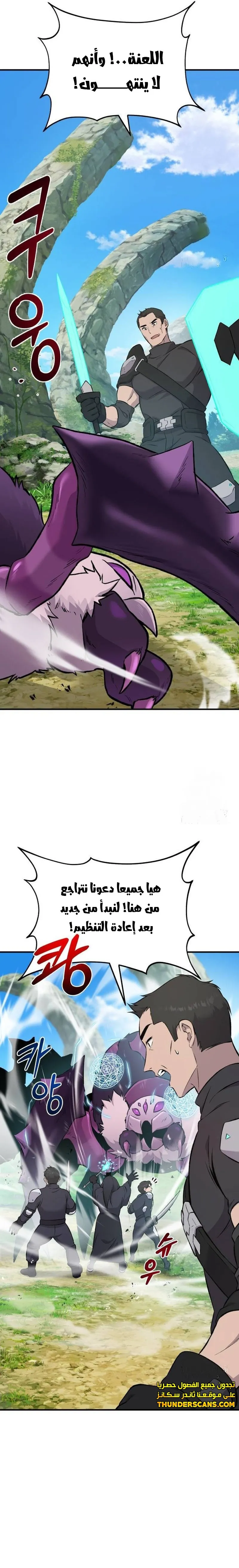 الصفحة 17
