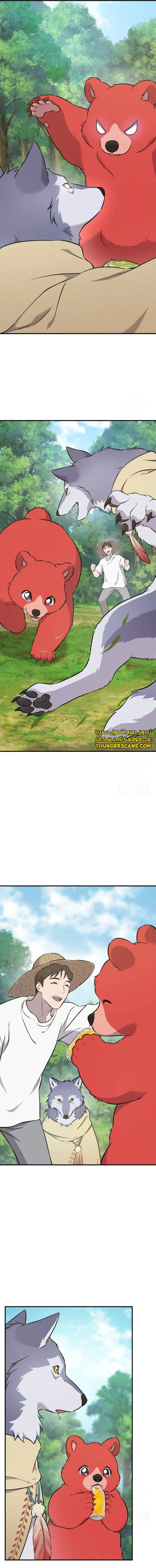 الصفحة 11