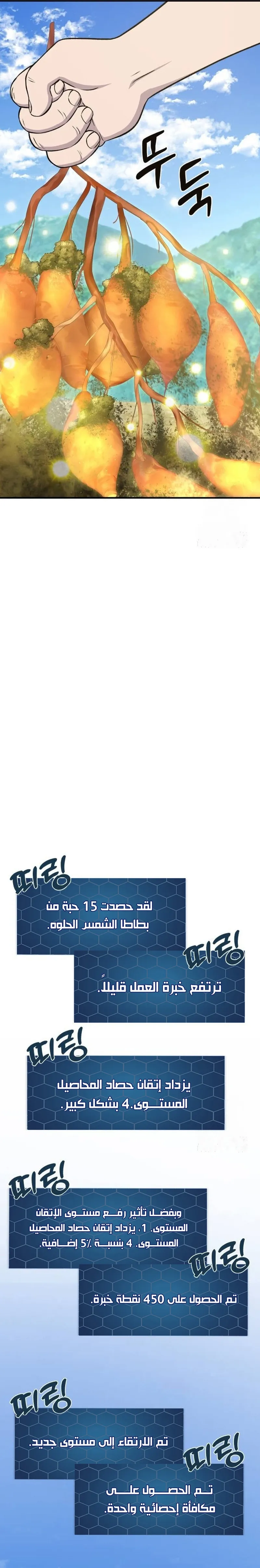 الصفحة 13
