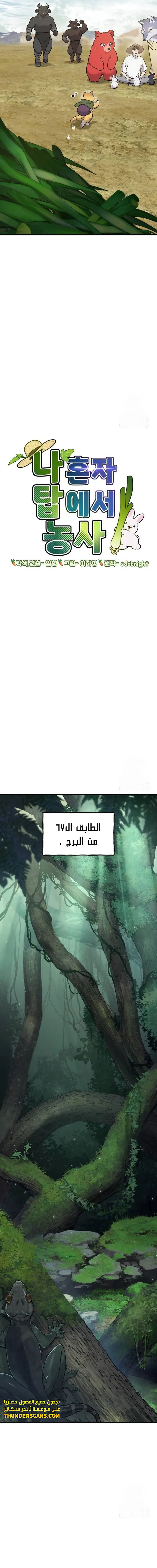 الصفحة 19