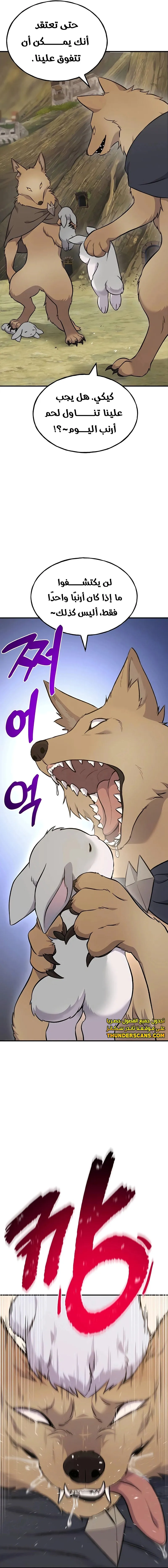الصفحة 15