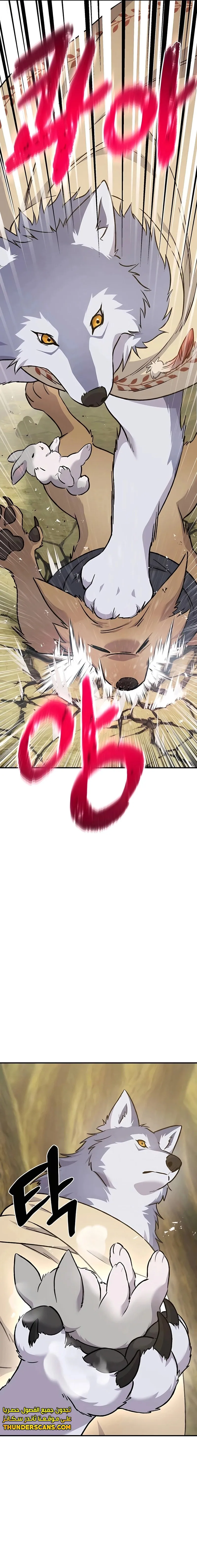 الصفحة 16