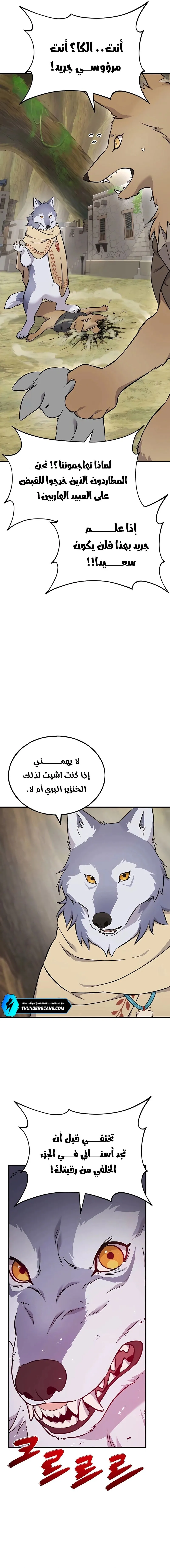 الصفحة 17