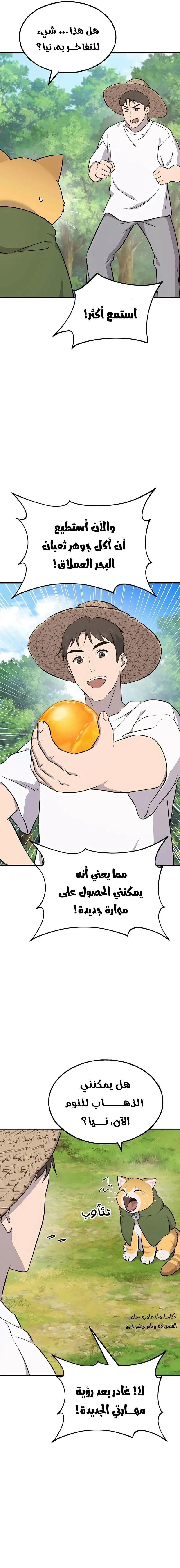 الصفحة 21