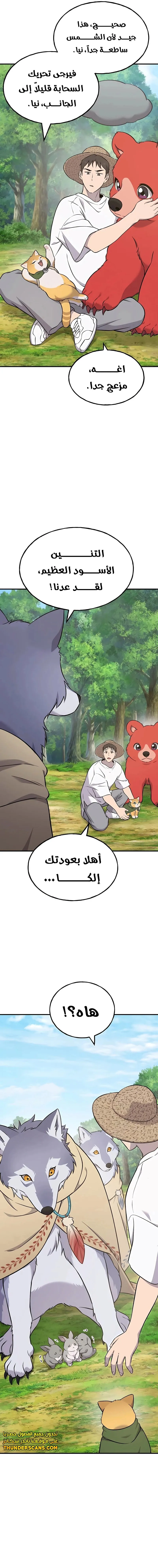 الصفحة 26