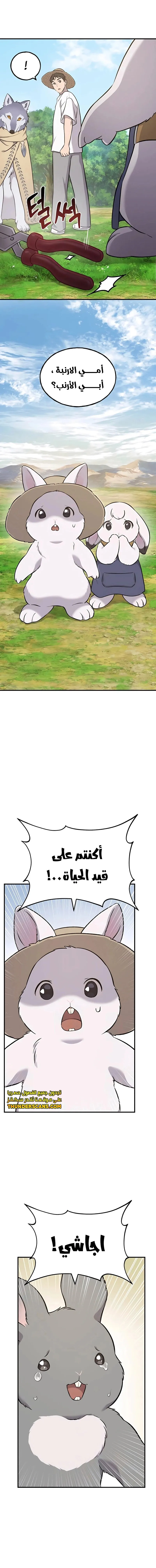 الصفحة 28