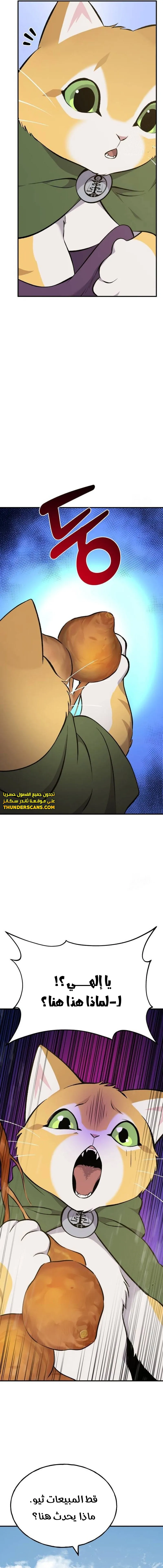 الصفحة 27