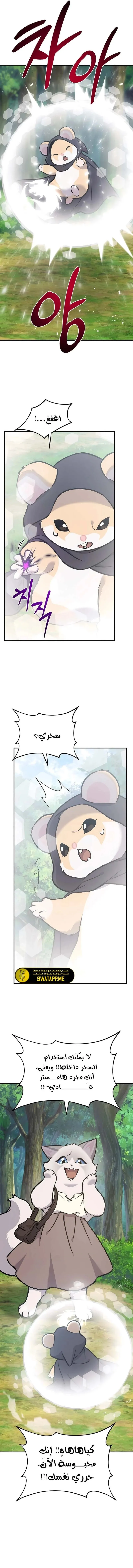 الصفحة 14