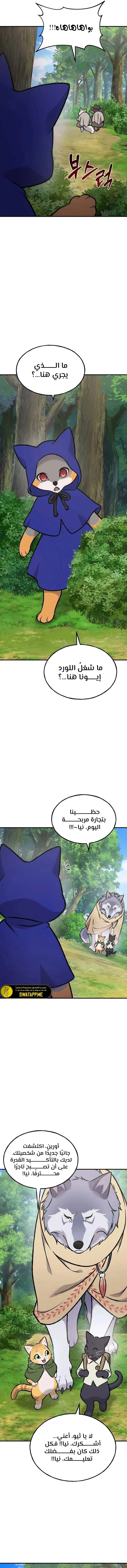 الصفحة 17