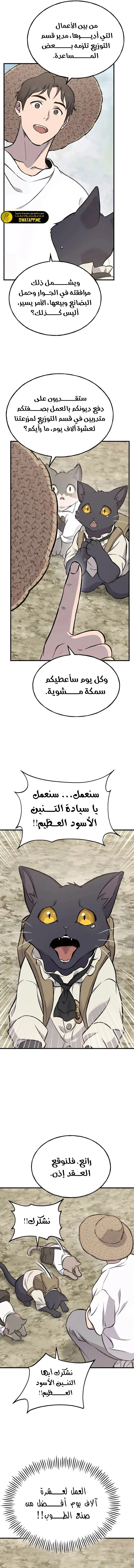 الصفحة 13