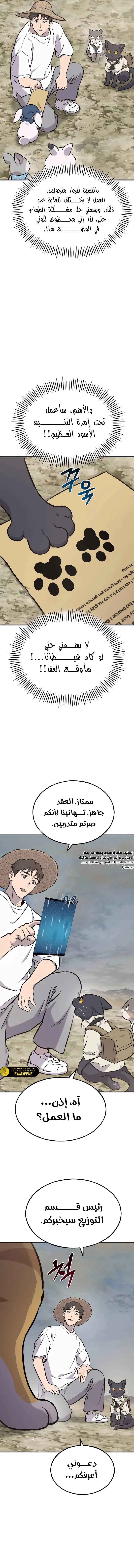 الصفحة 14