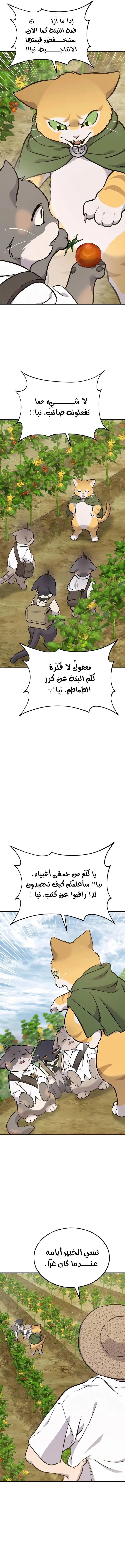 الصفحة 21