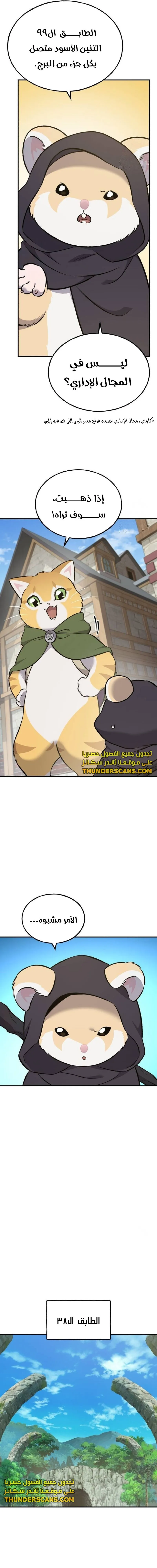الصفحة 13