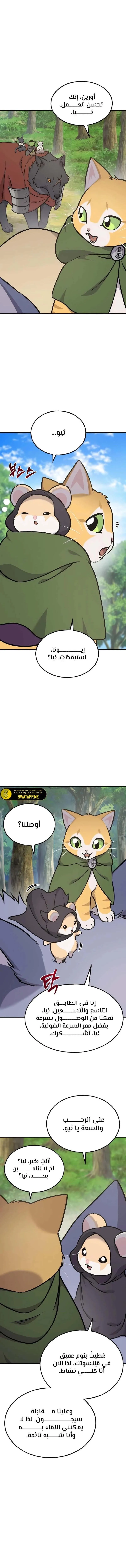 الصفحة 17