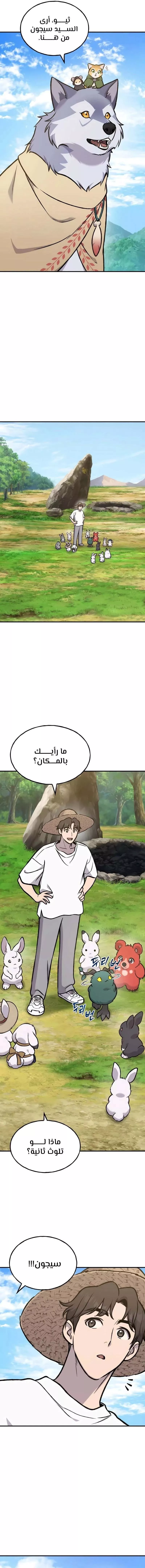 الصفحة 19