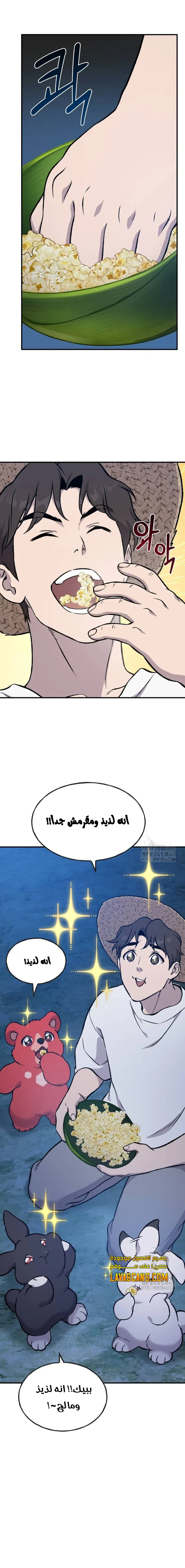 الصفحة 17