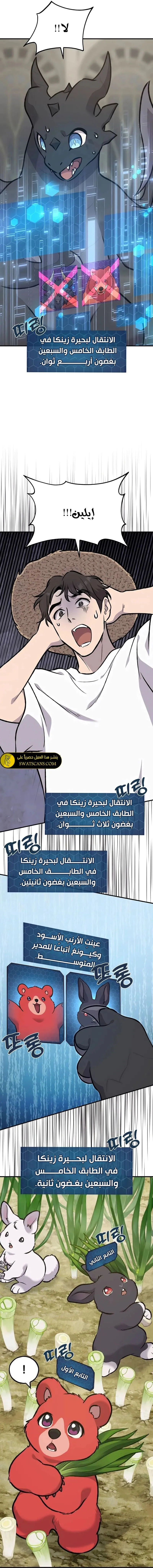 الصفحة 11