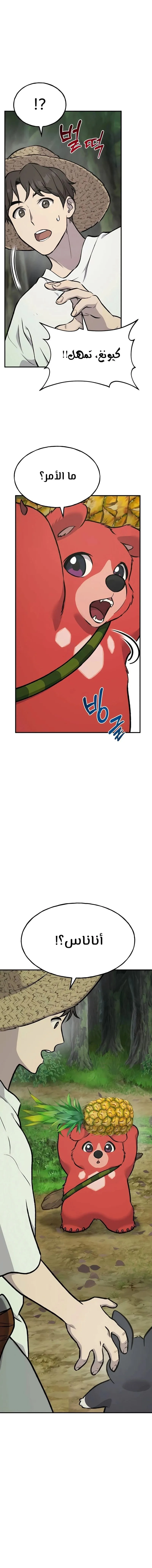 الصفحة 21