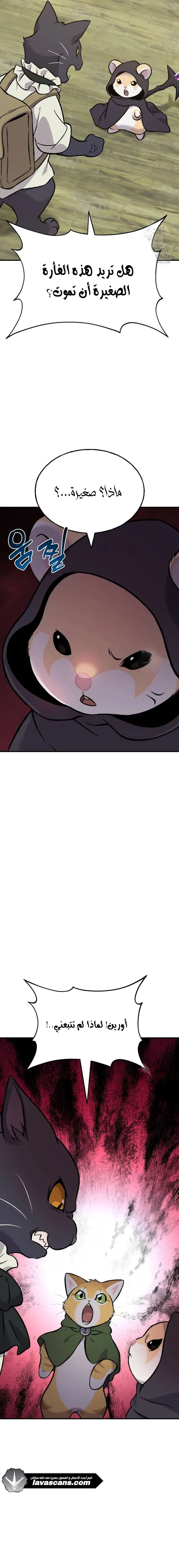 الصفحة 13