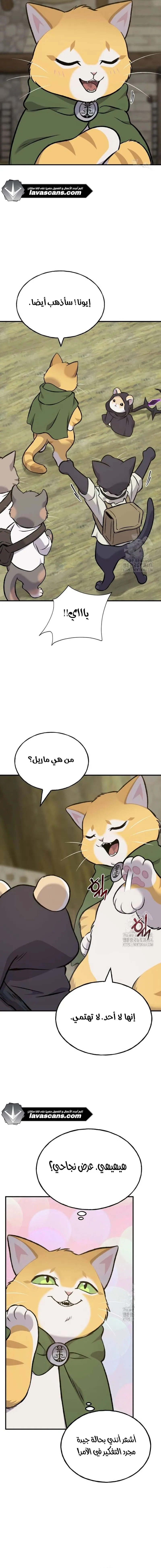 الصفحة 19